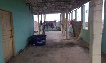 Imagem 3: Vende-se Vasa em Padro Canário