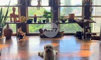 Imagem 2: Raridade_ Apartamento Condomínio Casa Alta _ Vista Unica