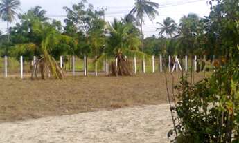 Imagem 3: Terreno de 3,6 hectares no pecém