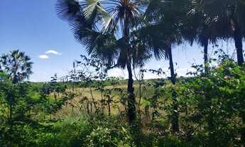 Imagem 6: Fazenda 171ha a venda