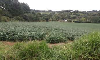 Imagem: Chácara 5 algs. 790 mil Campo Largo.Pr