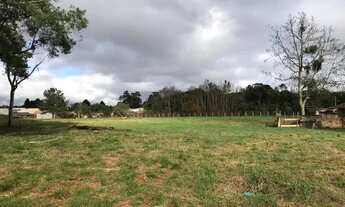 Imagem 4: Alugo excelente área comercial plana no Rio Pequeno com 11.800 m2