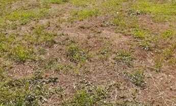 Imagem 5: Oportunidade...!!! Terreno 250m² - Direto com o proprietário - Real Parque Sumaré