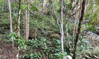 Imagem 4: Terreno para construção chale