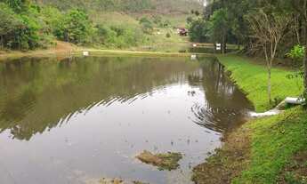 Imagem 5: Fazenda Produtiva, no Bairro do Araçoeiro Guapiara SP