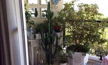 Imagem 7: APARTAMENTO - UMUARAMA - SP