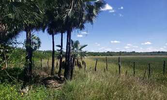 Imagem 4: Fazenda 171ha a venda