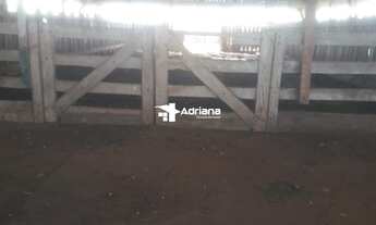 Imagem 6: Fazenda/Sítio/Chácara para venda tem 85000 metros quadrados com 2 quartos em Centro - Terr