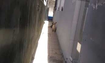 Imagem 6: Eduardo. CASA PARA VENDA EM SÃO PAULO ZONA SUL, LOCALIZADA NO JARDIM ALMEIDA PRADO