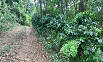 Imagem 11: Chácara de 7,4 hectares em Ibema, próximo a cidade!