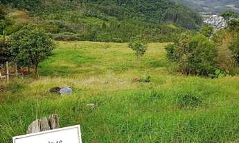 Imagem 5: Vendo terreno em rolante 33x45m