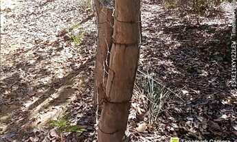 Imagem 2: Oportunidade terra rural