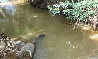 Imagem 6: Fazenda Itaberaí