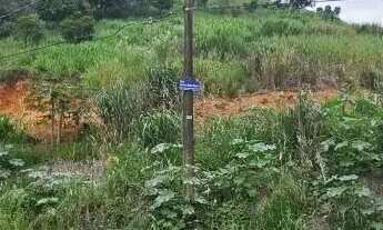 Imagem 3: TERRENO - VALE VERDE - SP