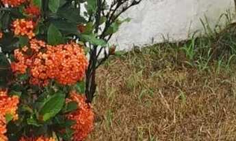 Imagem 6: Casa para venda em Parque São Domingos com 2 quartos , 124m²