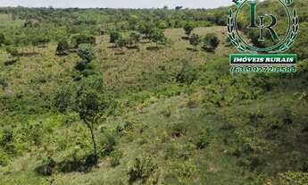 Imagem 7: Oportunidade Chácara 14 Alqueires Próximo de Palmas