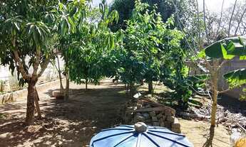 Imagem 3: Imóvel Chácara com venda por R$400