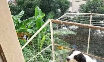 Imagem 6: Apartamento : / Residencial / Santa Teresa