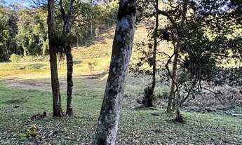 Imagem 6: Chácara R$35.000