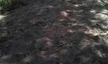 Imagem 4: Vende-se terreno na fazendinha são José do Itaporã