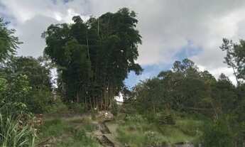 Imagem 7: 1 hectare pisciciultura abandonada 277 mil reais 2 casas