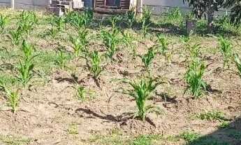 Imagem 5: Chacará Murada 900M2 Bandeirinhas/Betim