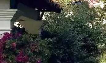 Imagem 7: Fazenda centenária cafeeira com 90 alqueires no interior de SP REF: FA0010