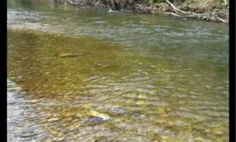 Imagem 5: CHÁCARA DE SONHO RIO COXIPÓ D?OURO