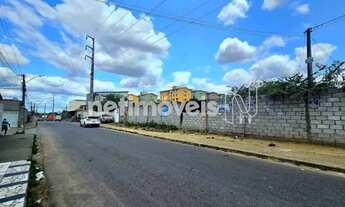 Imagem: Venda Lote-Área-Terreno Aviário Feira