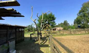 Imagem 3: Salomone vende Sítio rústico com galpões