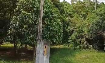 Imagem 5: Terreno 46 hectares próximo de Manaus