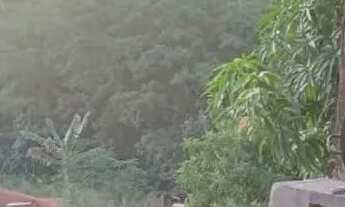 Imagem: Chácara Sitio Roça - Fercal Sobradinho-Df