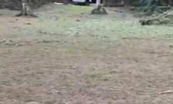 Imagem 3: Terreno Serra Teresópolis Guapimirim Condomínio Fechado Murado