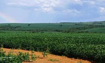 Imagem 5: Fazenda 189 alqueires em Doverlândia-GO