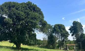 Imagem 5: Terreno barato, pronto pra morar e doc ok Ibiúna