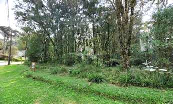 Imagem 2: Pinheiro Grosso Terreno / lote com venda por R$870.000