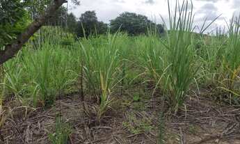 Imagem 6: Terreno plaino polenghi 35 km de Itapetininga, perto da fábrica polenghi