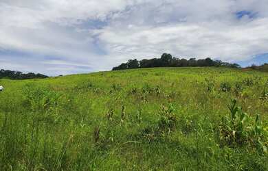 Imagem 4: Lotes de 500 a 1.000 m² à venda em Ibiúna-SP