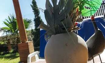 Imagem 2: Casa temporada ponta da fruta