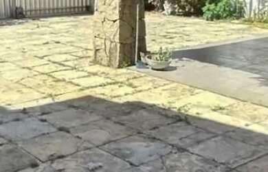 Imagem: Alugo casa ampla para finalidade comercial!