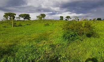 Imagem 3: Chácara com represa em maripotaba excelente oportunidade!