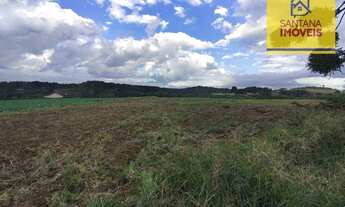 Imagem 4: Terreno à venda, 36905 m² por R$ 1.150.000,00 - São Caetano - Balsa Nova/PR