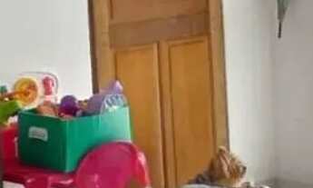 Imagem: Casa Conjunto Castelo Branco