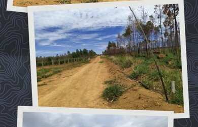 Imagem: Oportunidade! Lote de 2000 metros totalmente