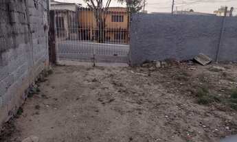 Imagem 7: Imóvel para venda tem 50 metros quadrados com 2 quartos em Parque Boturussu - São Paulo