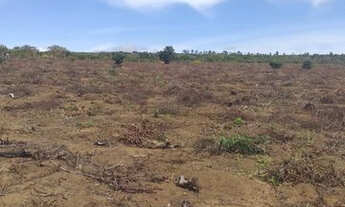 Imagem 5: Terreno de 20.000m2 no Povoado da Choça (8Km do Anel Viario