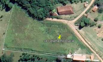 Imagem 6: Chácara de 6460m², encostada à Reserva Florestal do Morro Grande, Cotia