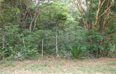 Imagem 6: Linda chácara de 20.000 m² próximo ao Rio,Jaboticatubas(Temos varias opções)