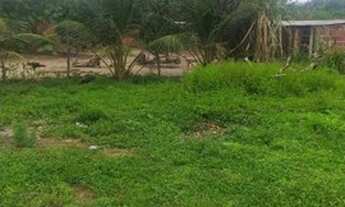 Imagem 2: Sitio em barreiras