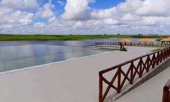 Imagem 3: Fazenda Real III